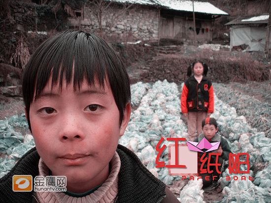田园