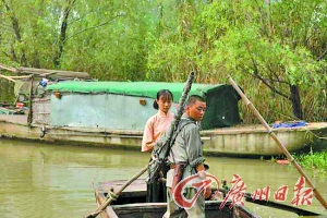 王宝强