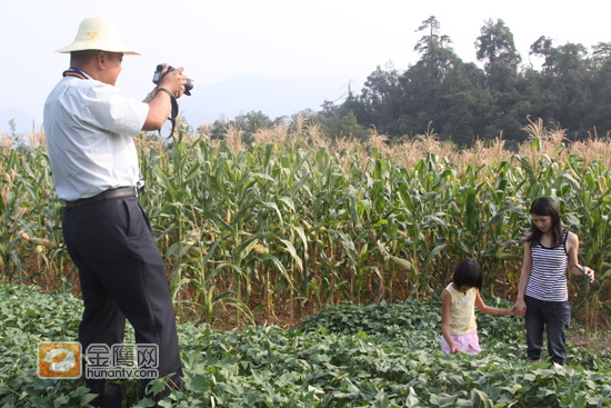 黄英的粉丝“映山红”手持DV,记录黄英割猪草的画面