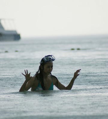 胡静下海
