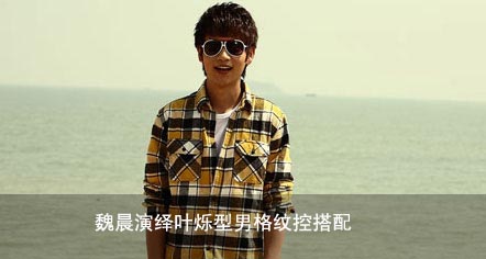 格纹控