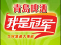 《我是冠军》