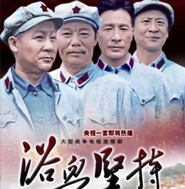 电视剧《浴血坚持》精美海报