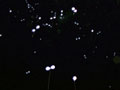 礼物：浪漫“星光”球