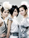 音乐品质 代表团体：SHE