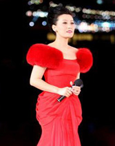 谭晶长裙典雅大方