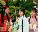 宝黛惜花