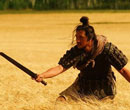 麦田中的武士