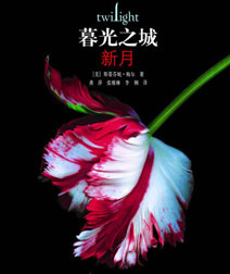 《新月》