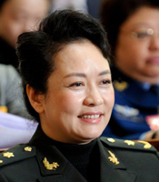 全国政协委员彭丽媛出席
