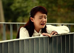 走深情路线三角恋成看点