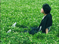 李霄云清新文艺范儿
